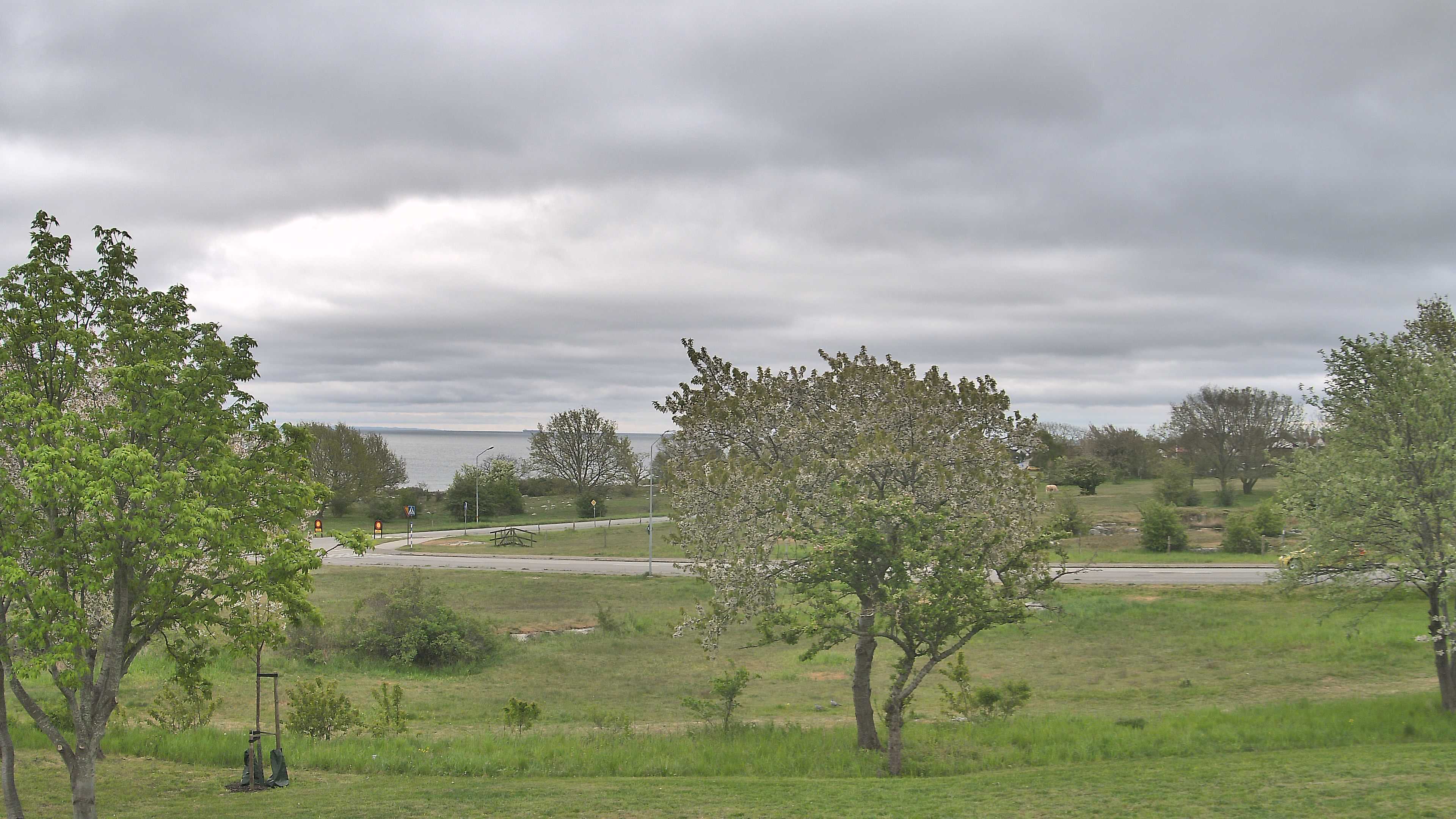 Simrishamn_20260512_070000_Scheduled_Email_for_Simrishamn_by_Peter_Biorck_at_2026_5_12_07_00_00.jpg