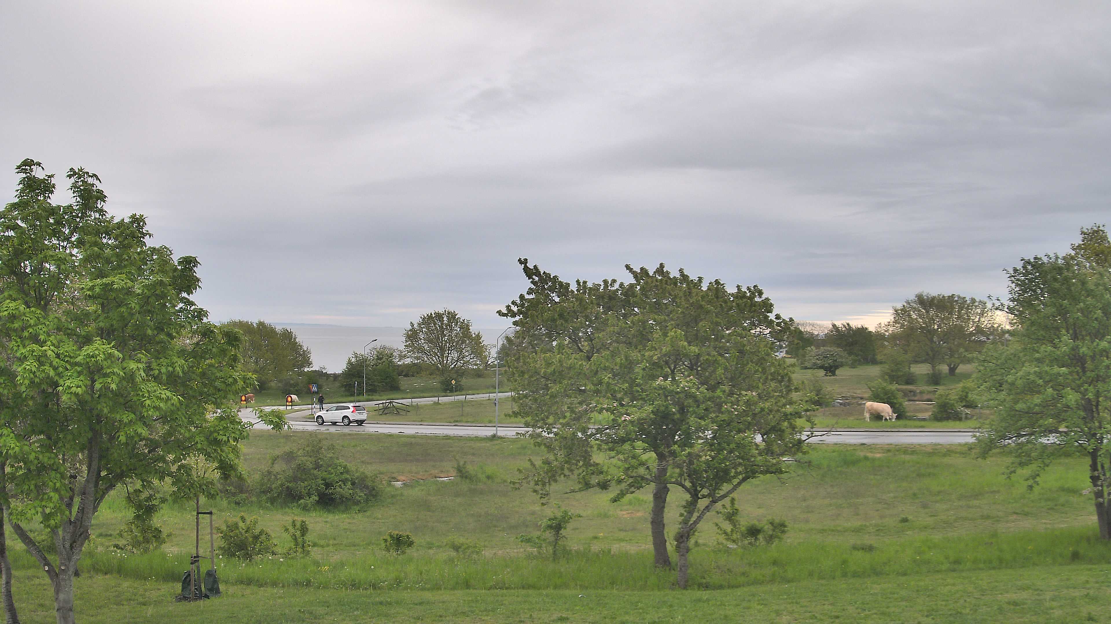 Simrishamn_20260519_070000_Scheduled_Email_for_Simrishamn_by_Peter_Biorck_at_2026_5_19_07_00_00.jpg