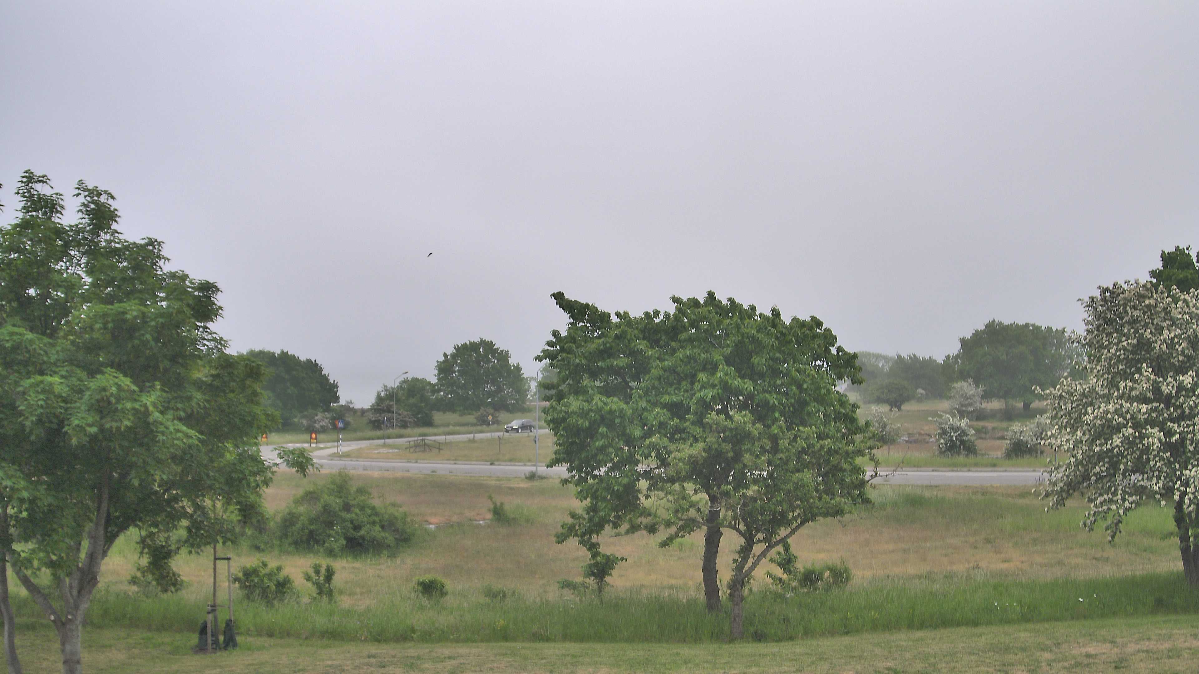 Simrishamn_20260601_070000_Scheduled_Email_for_Simrishamn_by_Peter_Biorck_at_2026_6_1_07_00_00.jpg