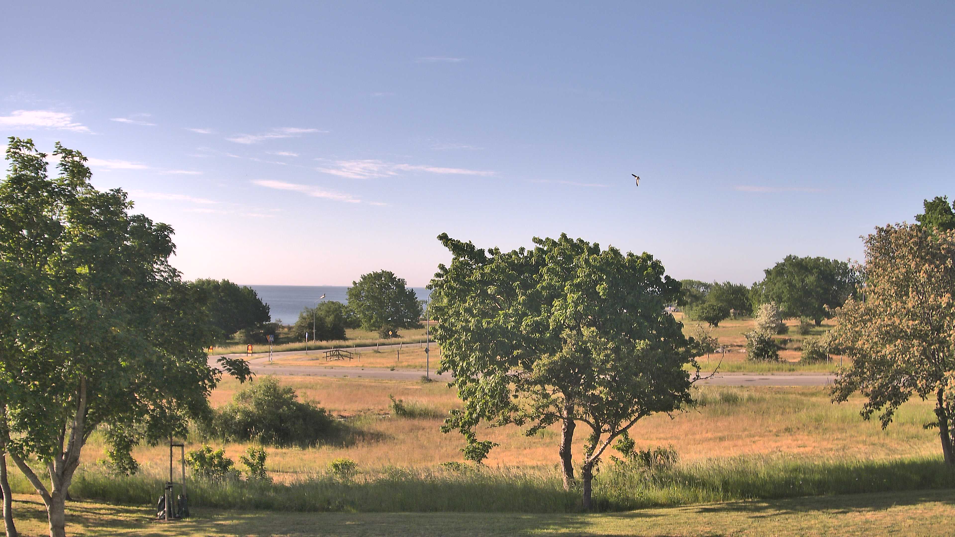 Simrishamn_20260606_073000_Scheduled_Email_for_Simrishamn_by_Peter_Biorck_at_2026_6_6_07_30_00.jpg