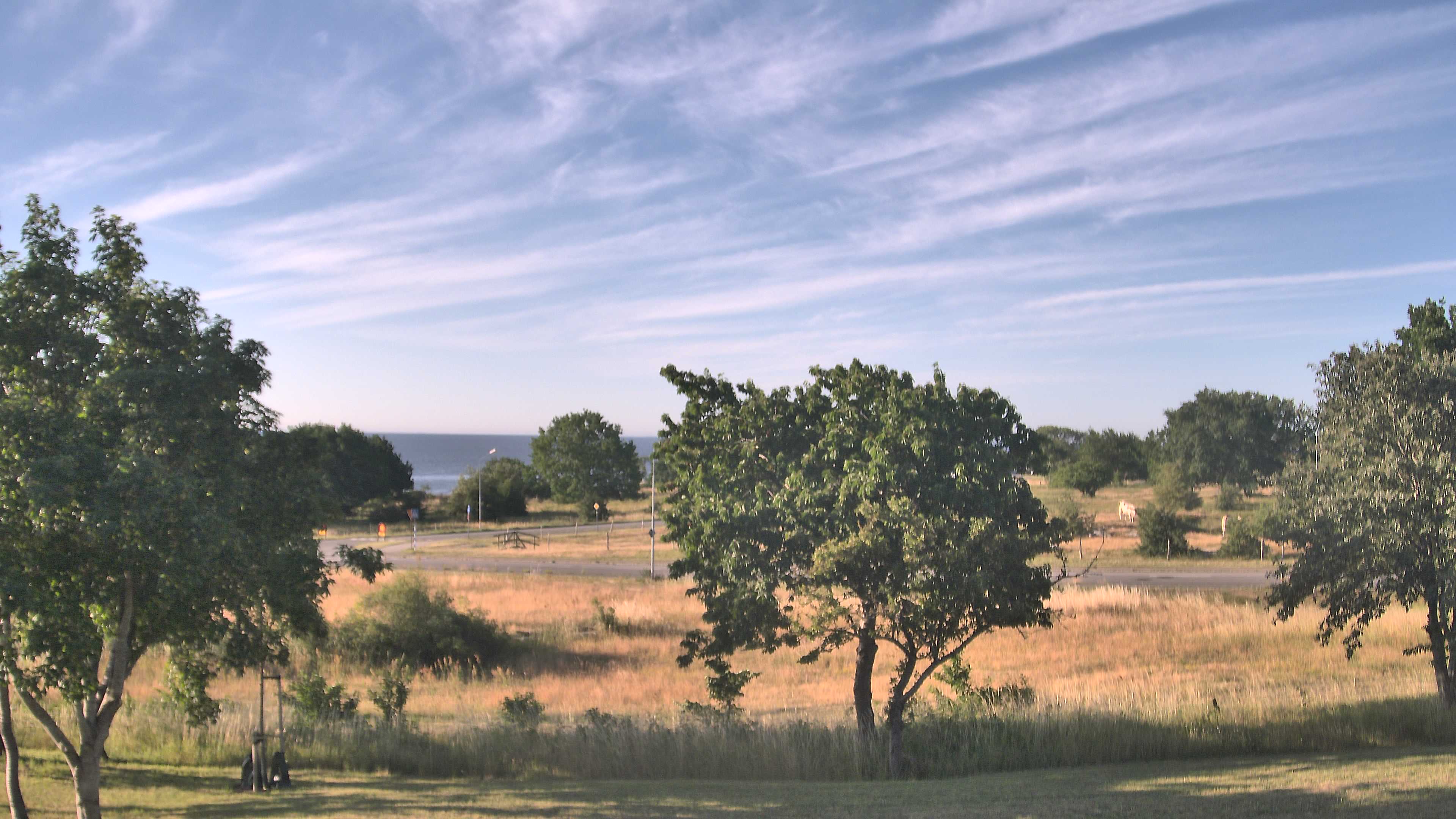 Simrishamn_20260710_070000_Scheduled_Email_for_Simrishamn_by_Peter_Biorck_at_2026_7_10_07_00_00.jpg
