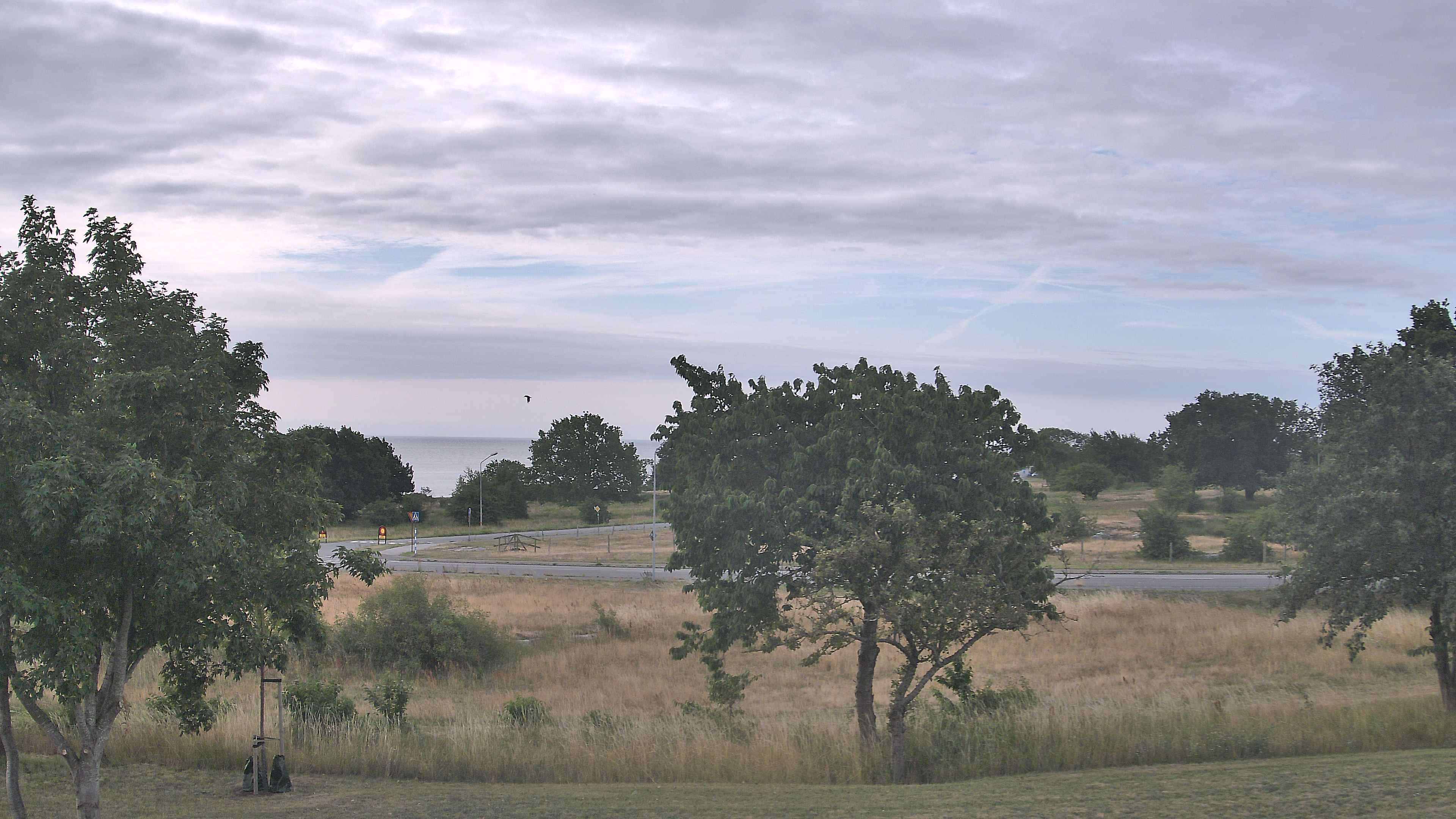 Simrishamn_20260725_073000_Scheduled_Email_for_Simrishamn_by_Peter_Biorck_at_2026_7_25_07_30_00.jpg
