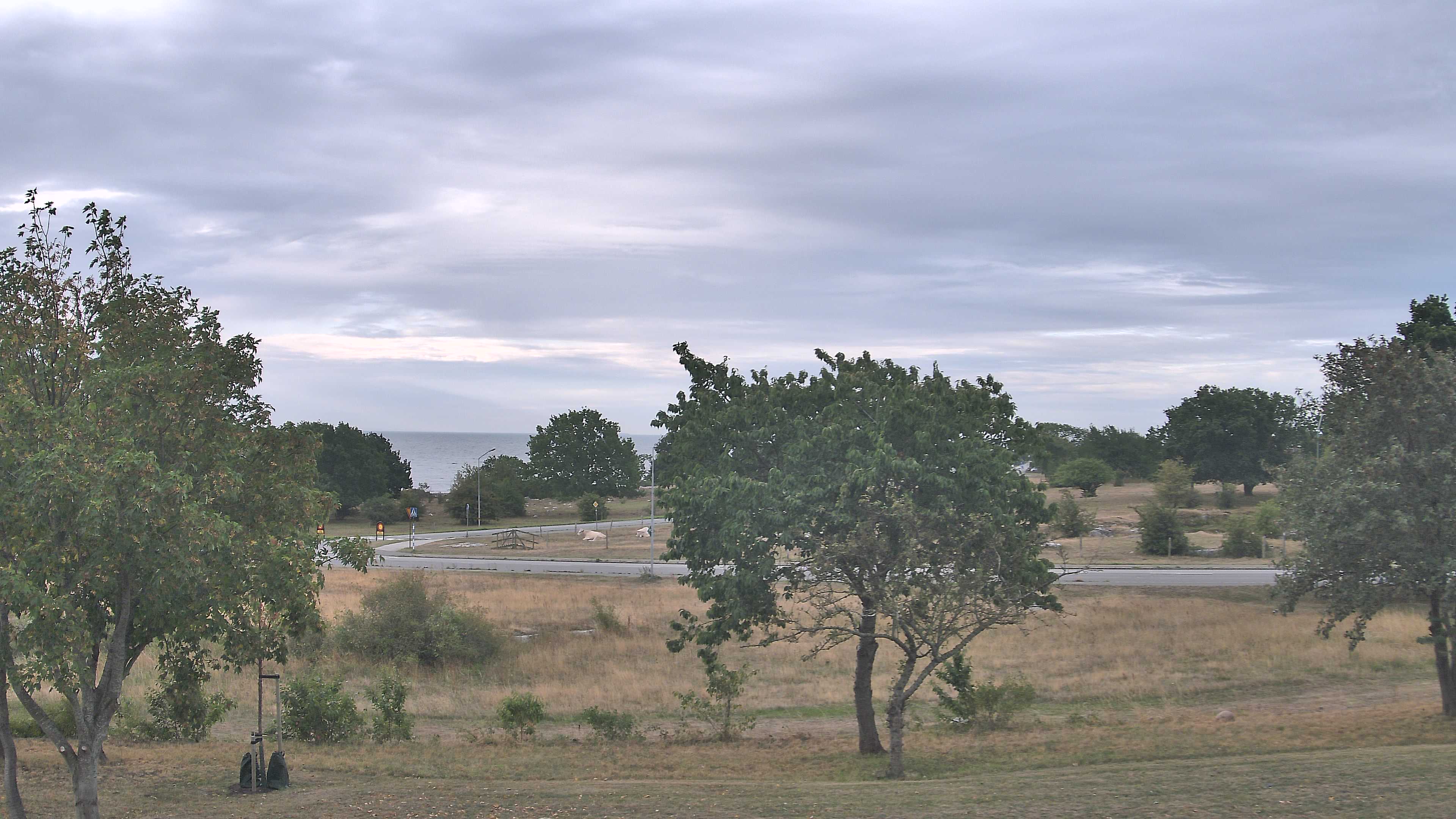 Simrishamn_20260830_073000_Scheduled_Email_for_Simrishamn_by_Peter_Biorck_at_2026_8_30_07_30_00.jpg