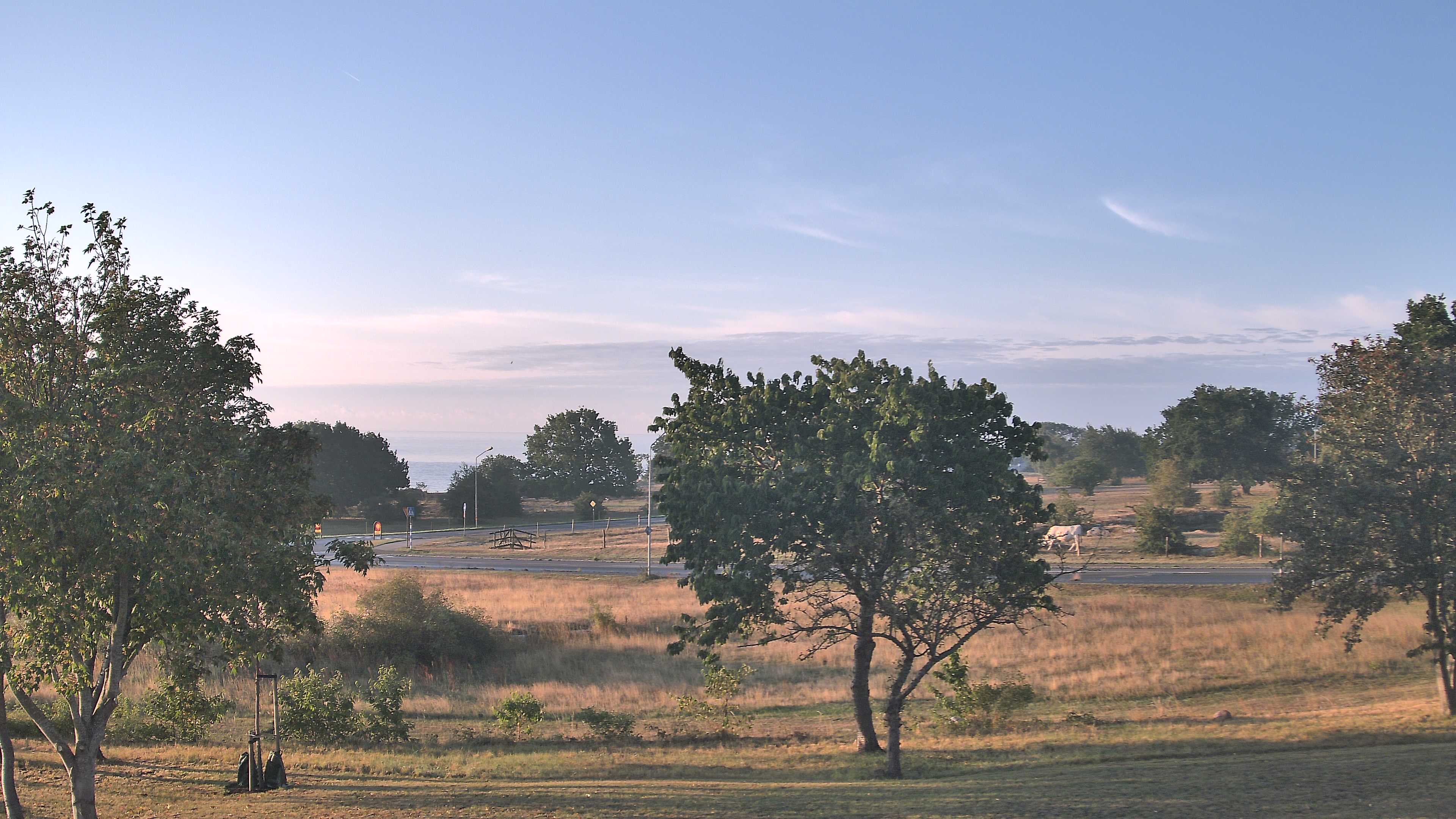 Simrishamn_20260831_070000_Scheduled_Email_for_Simrishamn_by_Peter_Biorck_at_2026_8_31_07_00_00.jpg