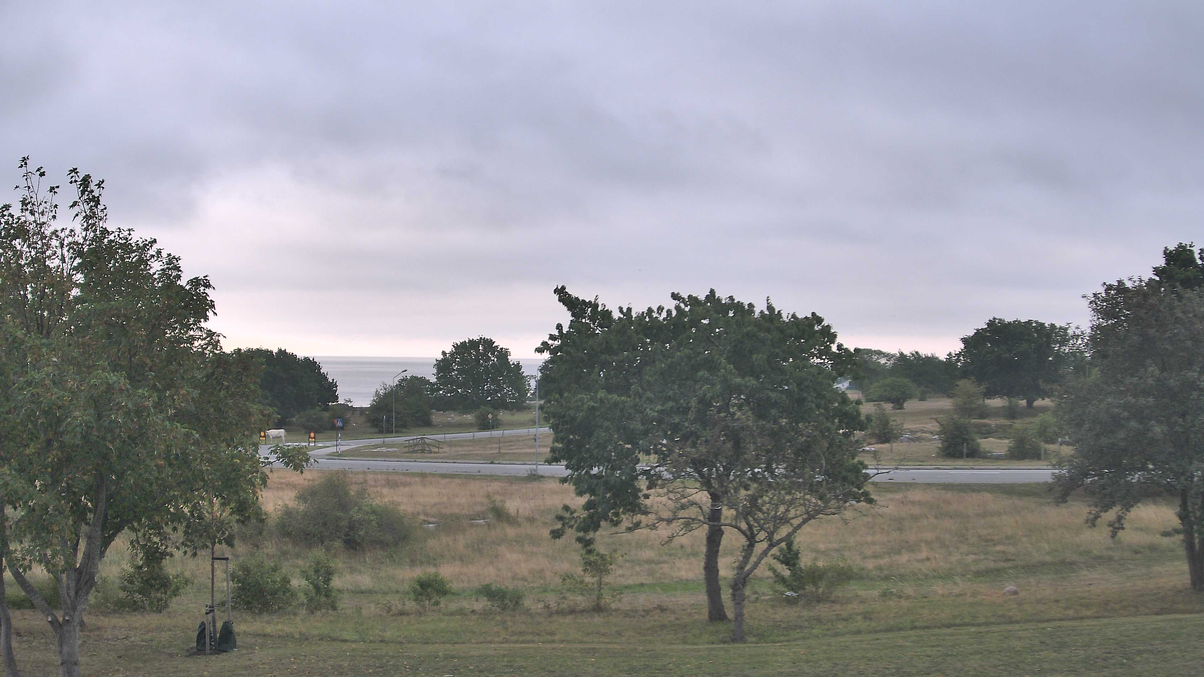 Simrishamn_20260901_073000_Scheduled_Email_for_Simrishamn_by_Peter_Biorck_at_2026_9_1_07_30_00.jpg